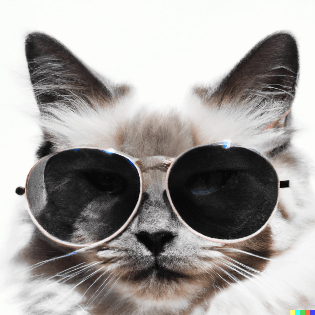 the truth about side hustles cat wearing shades